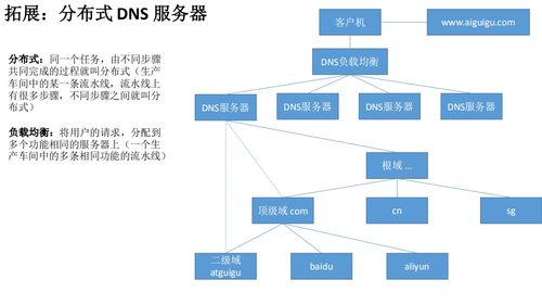 Linux云計(jì)算網(wǎng)絡(luò)服務(wù)基石 DNS域名系統(tǒng)解析與軟件定義部署